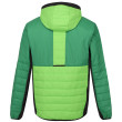 Chaqueta de hombre Regatta Trutton II