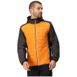 Chaqueta de hombre Regatta Trutton II