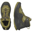 Calzado de hombre Salomon Elixir Mid Gore-Tex