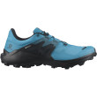 Calzado de hombre Salomon Wildcross 2 Gore-Tex