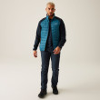 Chaqueta de hombre Regatta Clumber IV Hybrid