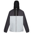 Chaqueta de hombre Regatta Belcastel gris/blanco Dark Grey/Silver Grey