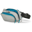 Riñonera Pacsafe ECO waist pack