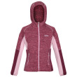 Sudadera de mujer Regatta Walbury IV violeta Violet/AmaHz