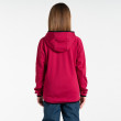 Sudadera para niños Dare 2b Explore Fleece