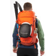 Mochila Ortovox Traverse 30