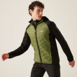 Chaqueta de hombre Regatta Andreson VIII Hybrid