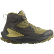 Calzado de hombre Salomon Elixir Mid Gore-Tex