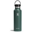 Botella térmica Hydro Flask Standard Mouth 21 oz verde oscuro Fir Green