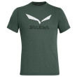 Camiseta de hombre Salewa Solidlogo Dri-Rel M S/S Tee gris oscuro DeepForestMelange