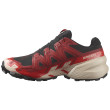 Zapatillas de carrera para hombre Salomon Speedcross 6 Gore-Tex