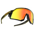 Gafas de sol Dynafit Sky Evo Sunglasses