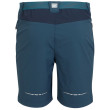 Pantalones cortos de hombre Regatta Mountain ShortsII M