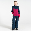 Sudadera para niños Dare 2b Thriving III Core Stretch