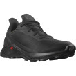 Calzado de hombre Salomon Alphacross 3 Gore-Tex negro Black(PantoneTapShoe)