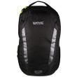 Mochila Regatta Britedale 20L