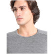 Camiseta de hombre Icebreaker Mens 260 Tech LS Crewe