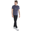 Camiseta funcional de hombre Icebreaker Men Merino Core SS Tee Waschbar Wandering