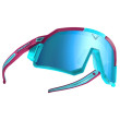 Gafas de sol Dynafit Sky Evo Sunglasses