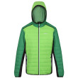 Chaqueta de hombre Regatta Trutton II verde Jasmine Green/Field Green