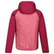 Chaqueta para niños Regatta Kielder HybridVII