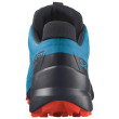 Calzado de hombre Salomon Speedcross 5 GTX