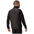 Chaqueta de hombre Regatta Clumber IV Hybrid