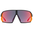 Gafas deportivas Uvex Sportstyle 237