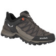 Calzado de mujer Salewa Ws Mtn Trainer Lite Gtx gris