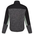 Sudadera de hombre Regatta Coladane VI