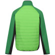 Chaqueta de hombre Regatta Clumber IV Hybrid