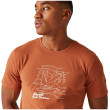 Camiseta de hombre Regatta Cline VIII