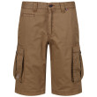 Pantalones cortos de hombre Regatta Shorebay Short marrón DarkCamel