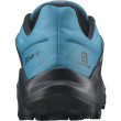 Calzado de hombre Salomon Wildcross 2 Gore-Tex