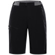 Pantalones cortos de hombre Alpine Pro Zamb negro black