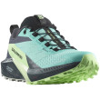 Zapatillas de carrera para mujer Salomon Sense Ride 5 Gore-Tex azul/verde Blue Radiance / Green Ash / India Ink