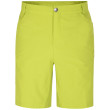 Pantalones cortos de hombre Dare 2b Tuned In Short II verde claro Green Algae