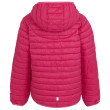 Chaqueta para niños Regatta Jnr Hood Hillpack II