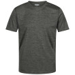 Camiseta de hombre Regatta Fingal Edition verde/gris Agave Green