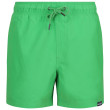 Pantalones cortos de hombre Regatta Mawson SwShortIII verde FairwayGreen