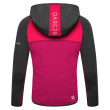 Sudadera para niños Dare 2b Hasty Core Stretch