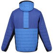 Chaqueta de hombre Regatta Trutton II