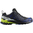 Calzado de senderismo para hombre Salomon Xa Pro 3D V9 Gore-Tex