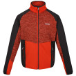 Sudadera de hombre Regatta Coladane V rojo RustyOra/Ash