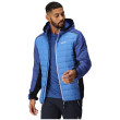 Chaqueta de hombre Regatta Trutton II