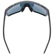 Gafas deportivas Uvex Mtn Perform S