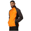 Chaqueta de hombre Regatta Clumber IV Hybrid