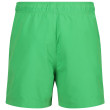 Pantalones cortos de hombre Regatta Mawson SwShortIII