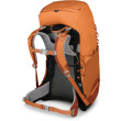 Mochila Osprey ACE 38 II