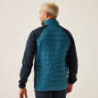 Chaqueta de hombre Regatta Clumber IV Hybrid